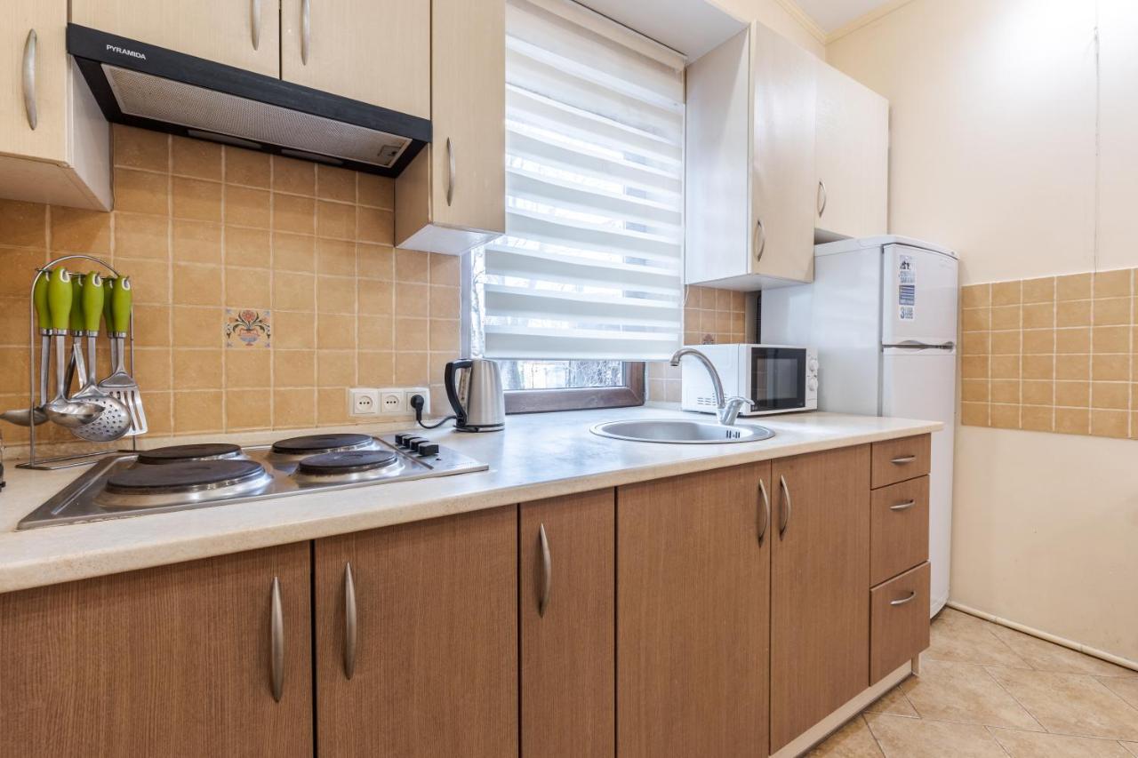 Mangal And Terrace In Center Apartment Lviv Kültér fotó