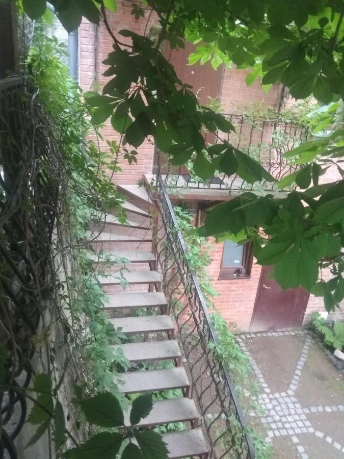 Mangal And Terrace In Center Apartment Lviv Kültér fotó